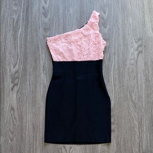 Gracie Pink and Black Rose Dress